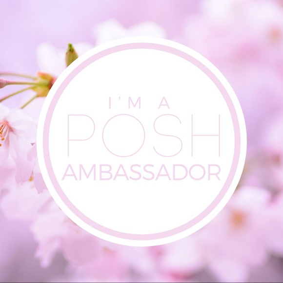 ✨Updated Posh Stats✨ Welcome to my closet! - Picture 3 of 4